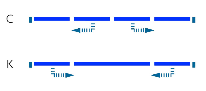 Portal-PSK-Comfort-4-створоки.jpg