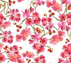 ORCHIDEA
